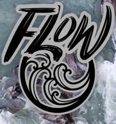 Jackson Kayak Flow