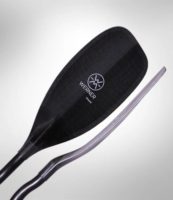 Custom Werner Paddle - Build your Dream